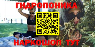 мдпв Краснознаменск