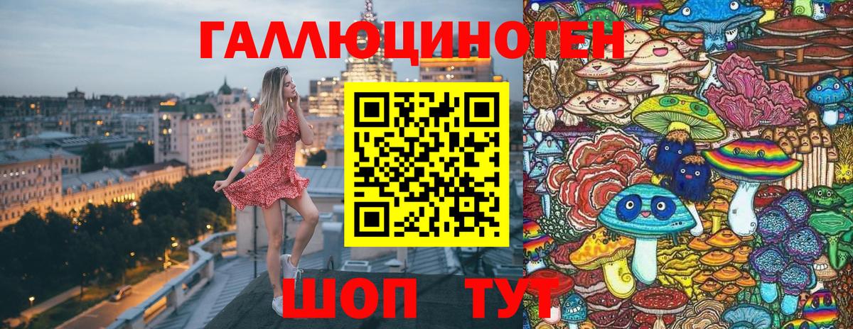 Псилоцибиновые грибы Cubensis  Вход с VPN  Гатчина 