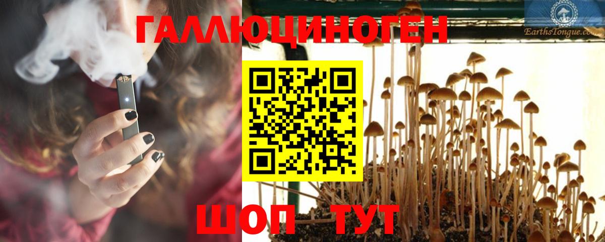 Псилоцибиновые грибы мицелий Гатчина